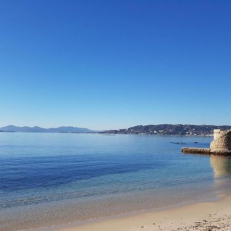 Appartement 2 Pieces, Renove, 2 Piscines+Tennis, Mer, Climatisation Antibes Bagian luar foto