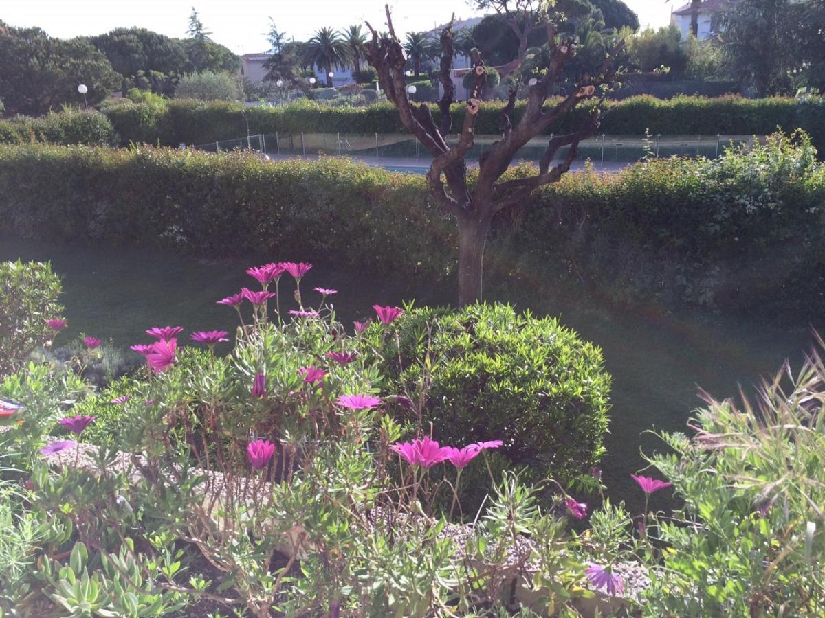 Appartement 2 Pieces, Renove, 2 Piscines+Tennis, Mer, Climatisation Antibes Bagian luar foto